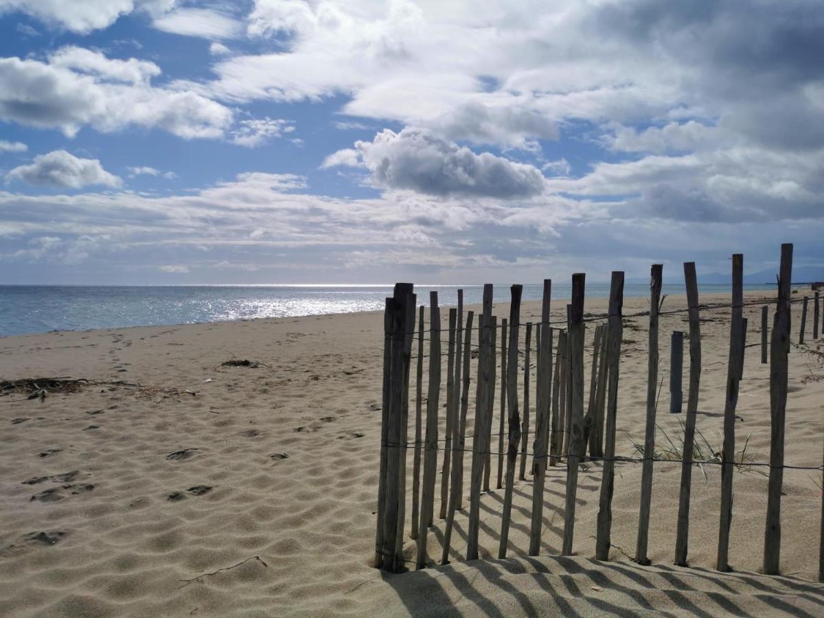 Appartement Soleil Levant - Acces Direct Plage - Terrasse - Une Chambre - Proche Commerces Le Barcares Bagian luar foto